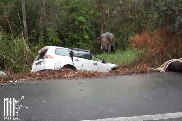 Screen Shot 2014-03-12 at 11.53.41