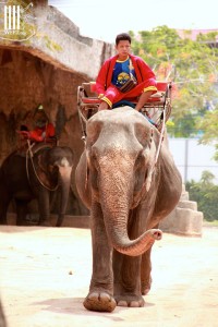 The very last ride is over.