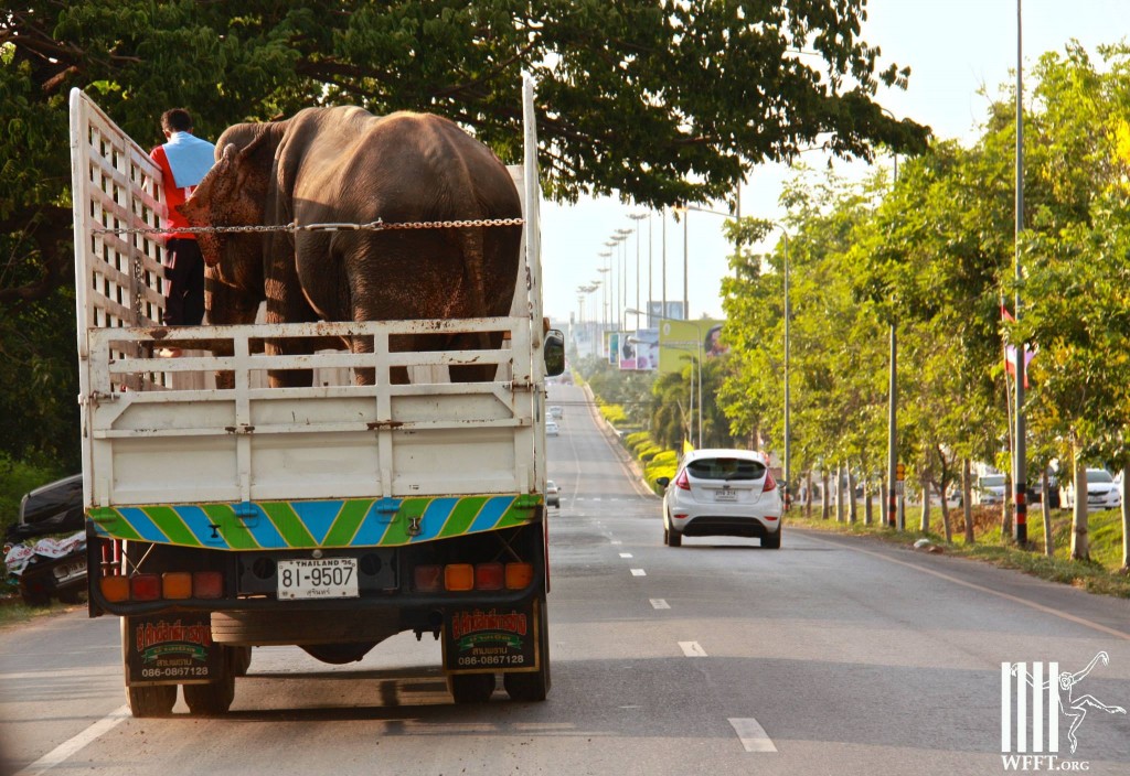 On the move to a new better life, Thanks all involved!
