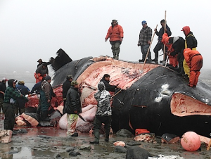 Screen Shot 2014-09-19 at 14.36.01