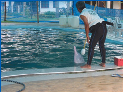 Screenshot 2014-10-15 13.39.52