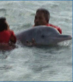 Screenshot 2014-10-15 13.40.01