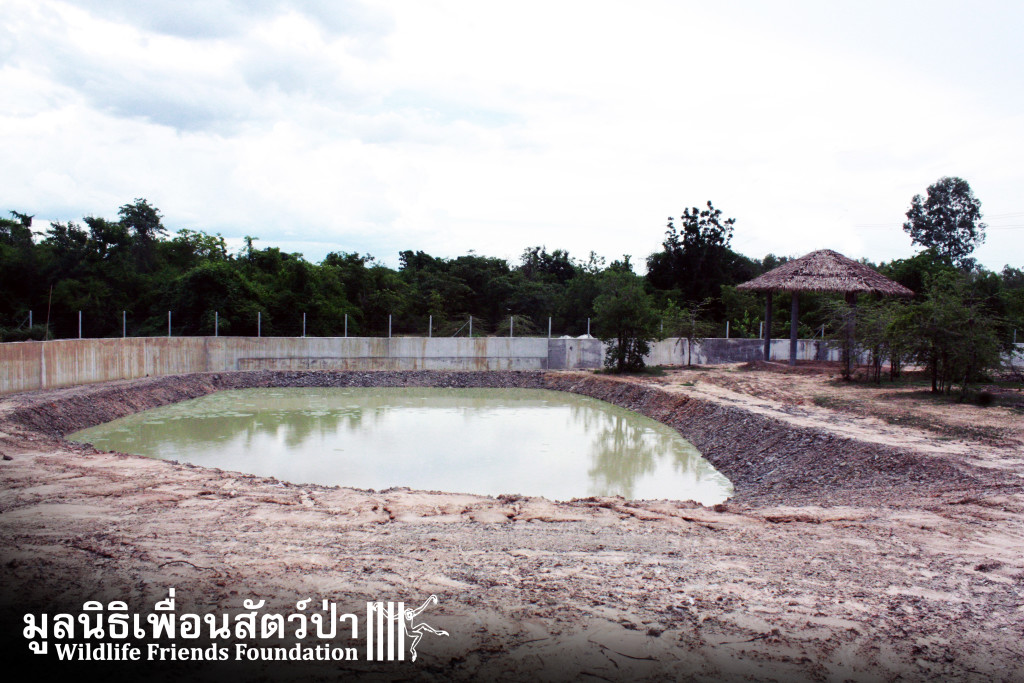 The elephant swimming pool.