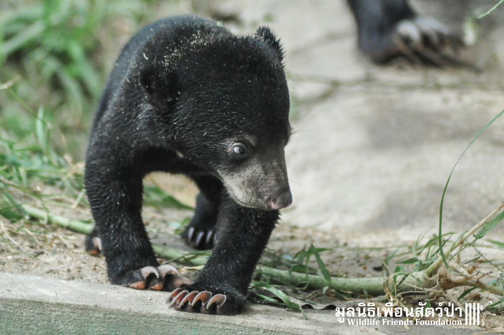 Galamair&Baby 151015 1030