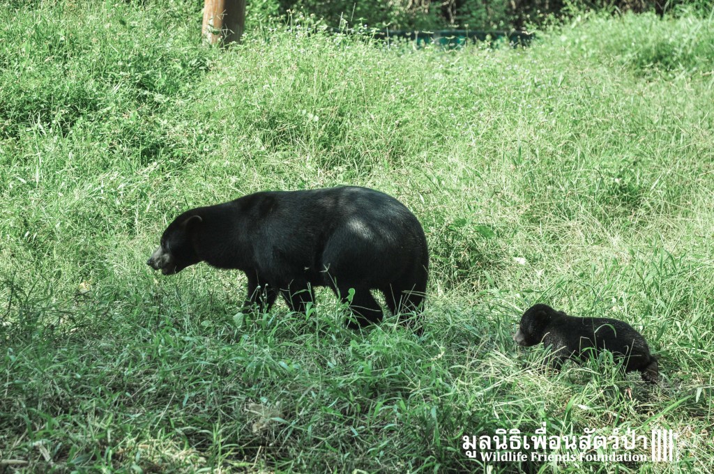 Galamair&Baby 151015 731