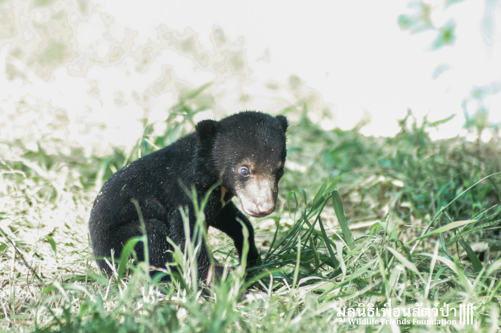 Galamair&Baby 151015 768