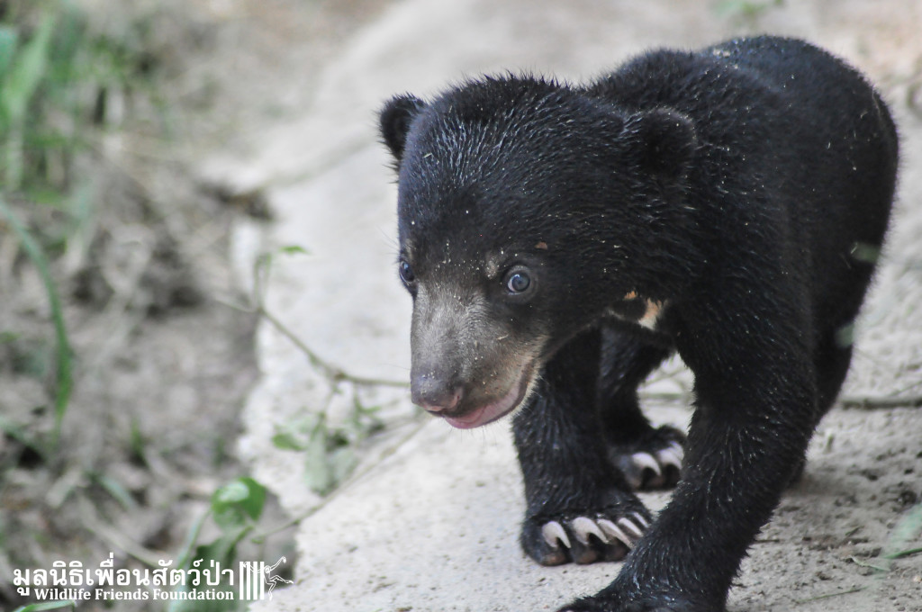 Galamair&Baby 151015 777