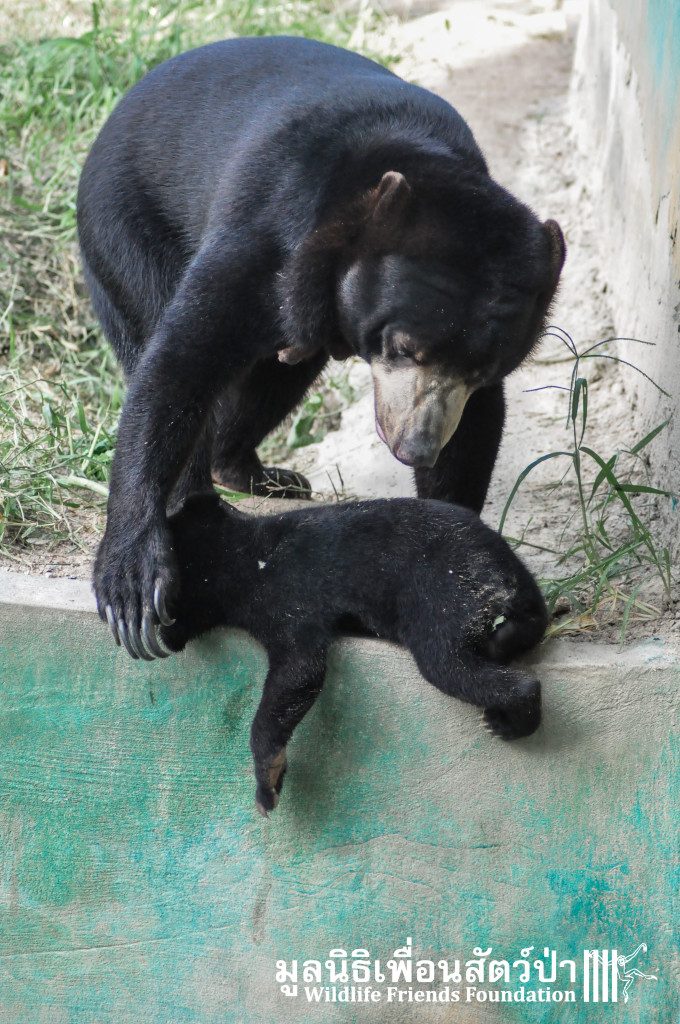 Galamair&Baby 151015 804