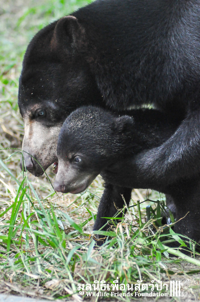 Galamair&Baby 151015 830