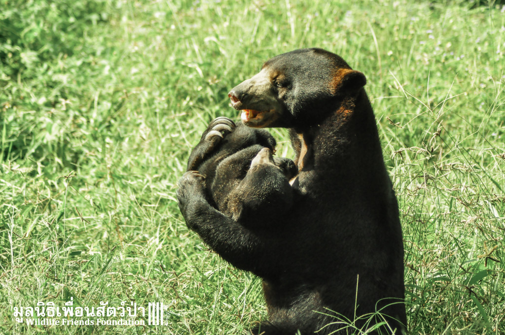 Galamair&Baby 151015 857