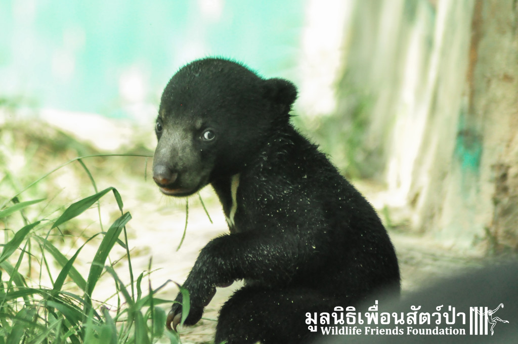 Galamair&Baby 151015 920