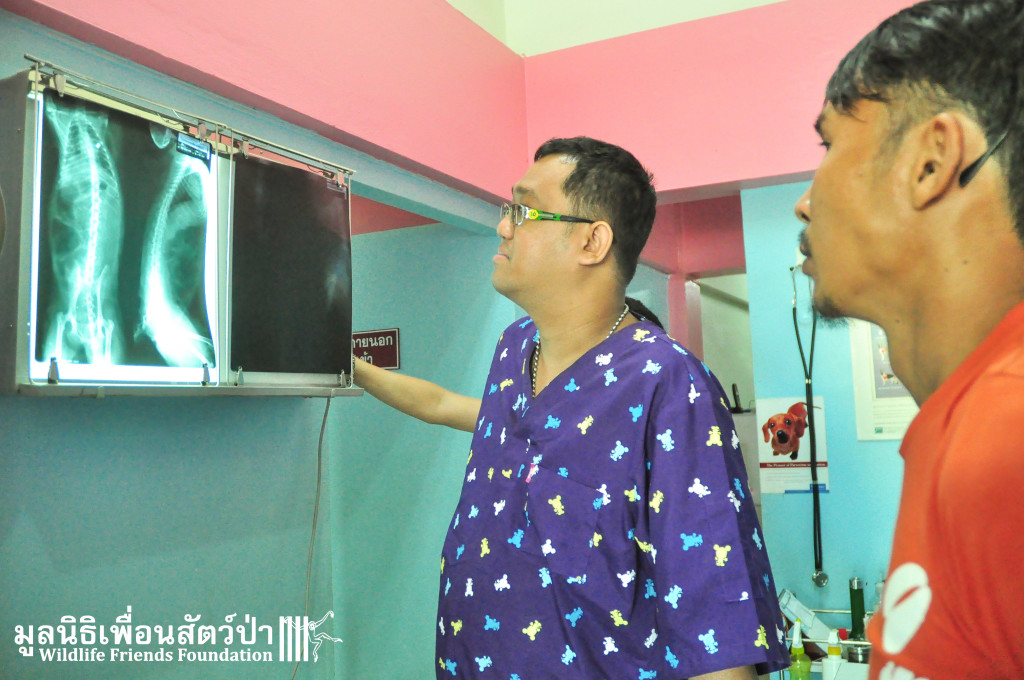 X ray showing the bullet