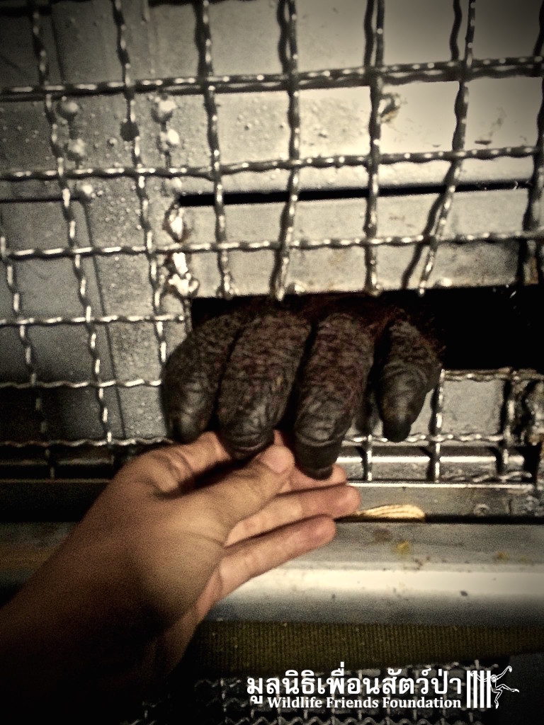 12248214_10205737412178188_2291870641648929103_o