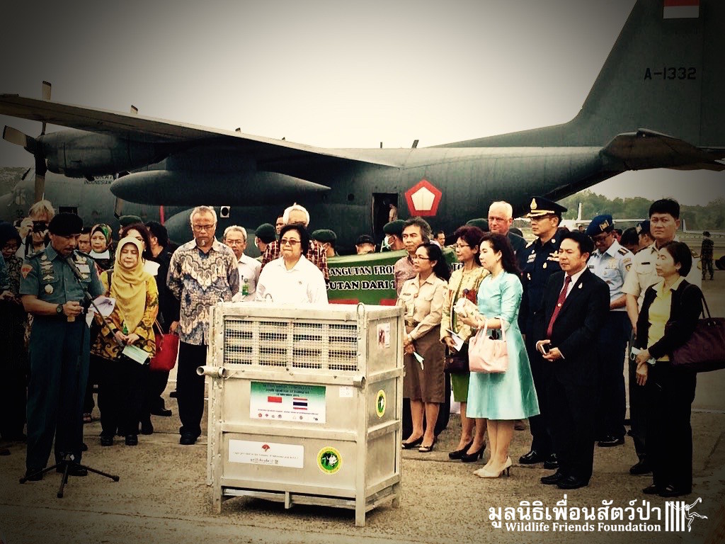 CTqKSSyUkAQmLGV.jpg-large