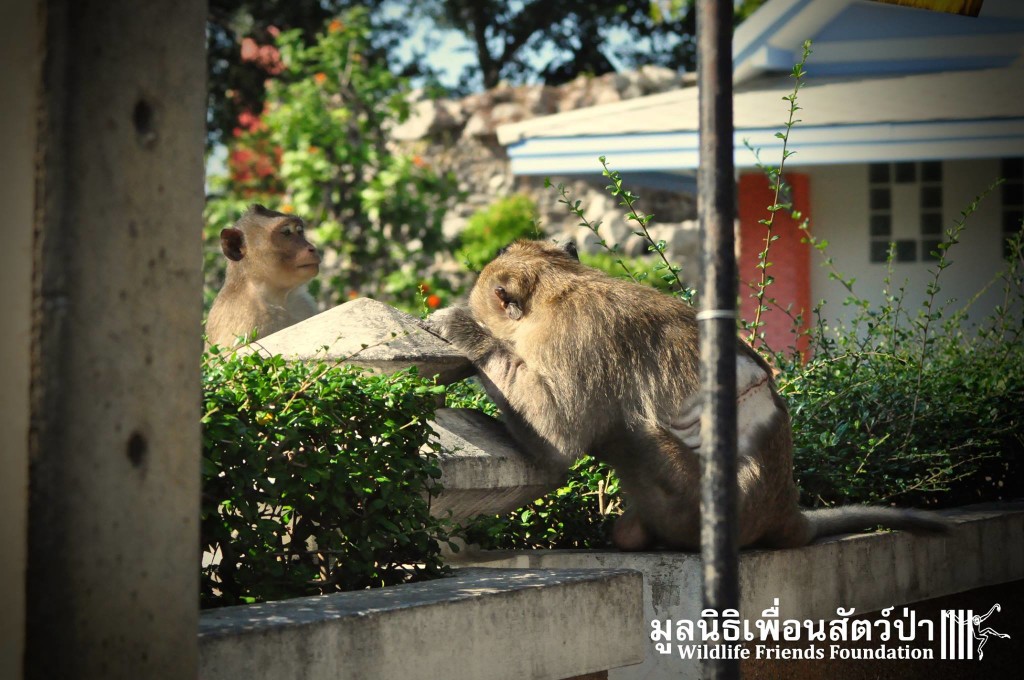 12232764_10153130205957657_6494855824626819668_o