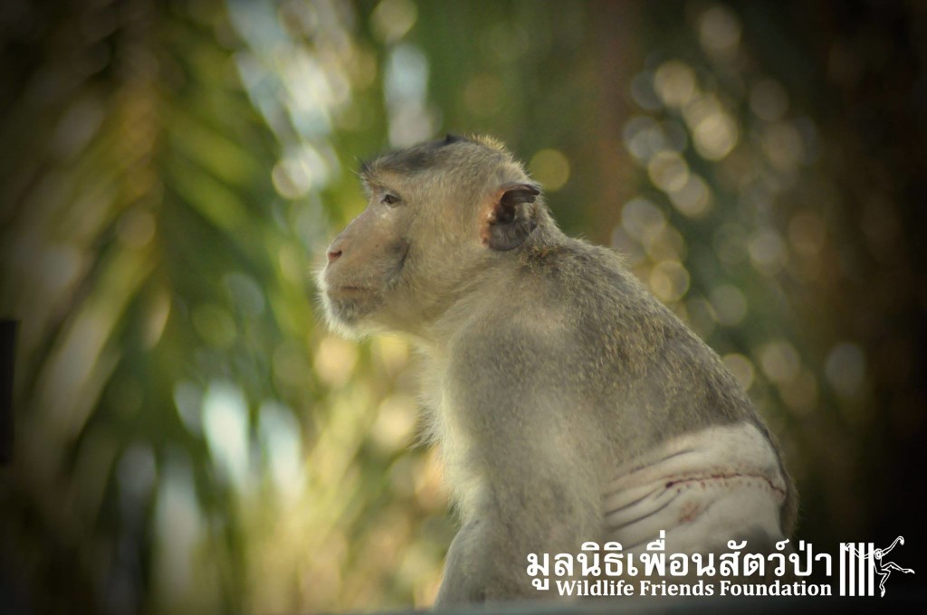 12304499_10153130205512657_1167070721816578604_o