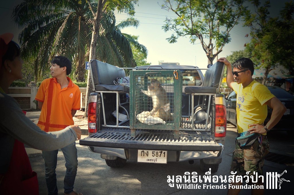 12314733_10153130205802657_4418757238519925251_o