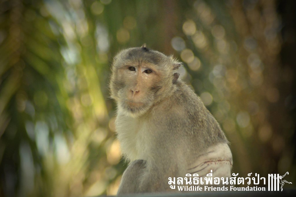 12339276_10153130205487657_1804392086278552842_o