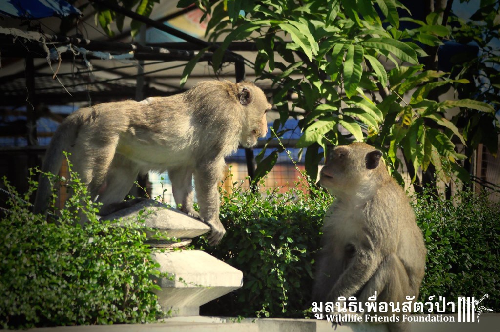 12339373_10153130205932657_2643997467453337349_o