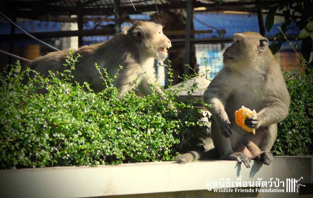 12356779_10153130205792657_1636338037191028723_o