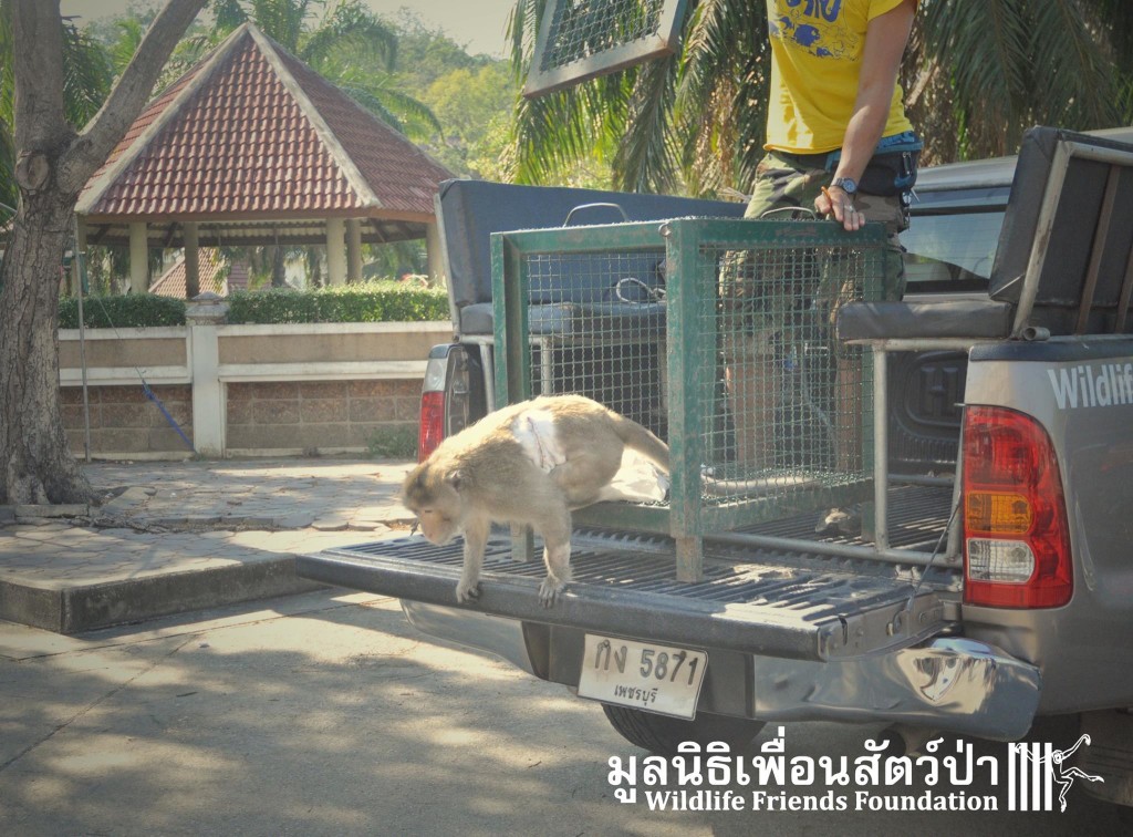 12366153_10153130205822657_3085947579194806337_o