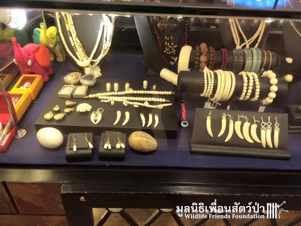 12508816_10153200433302657_5210833163398729662_n