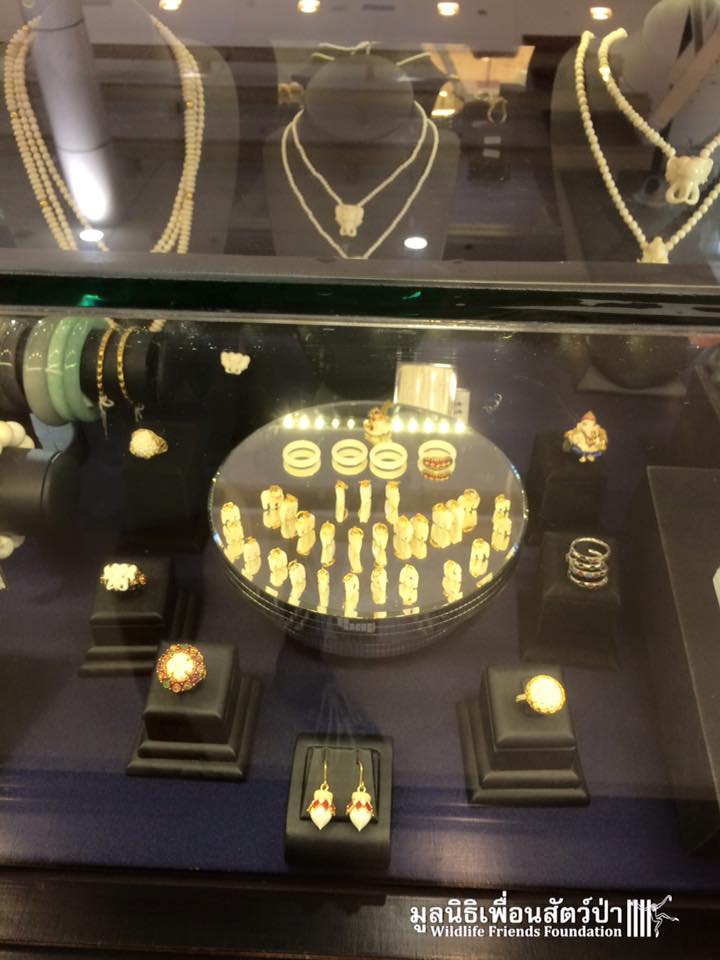 12508834_10153200433287657_7257299829017114283_n