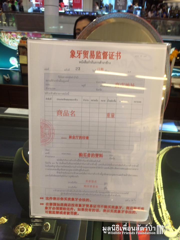 12552611_10153200433267657_8586080249634134690_n