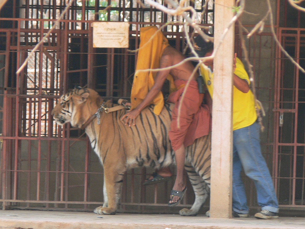 461205693_0ae5e33585_b