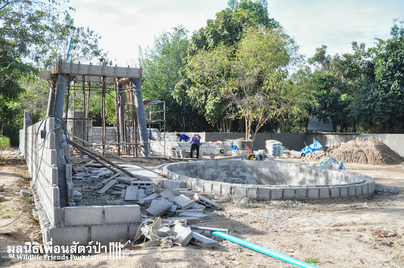 Otter new enclosure 170116 787