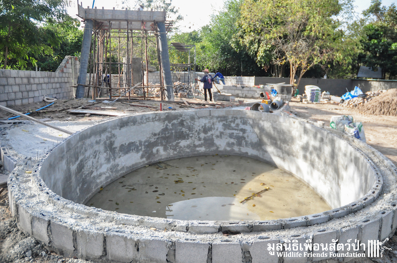 Otter new enclosure 170116 788