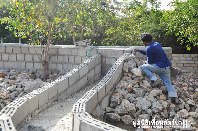 Otter new enclosure 170116 791