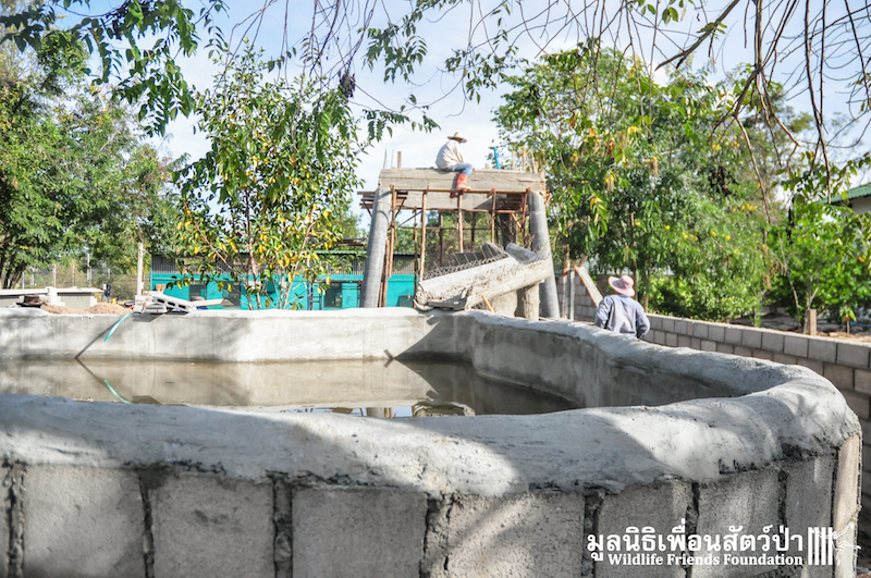 Otter new enclosure 170116 796