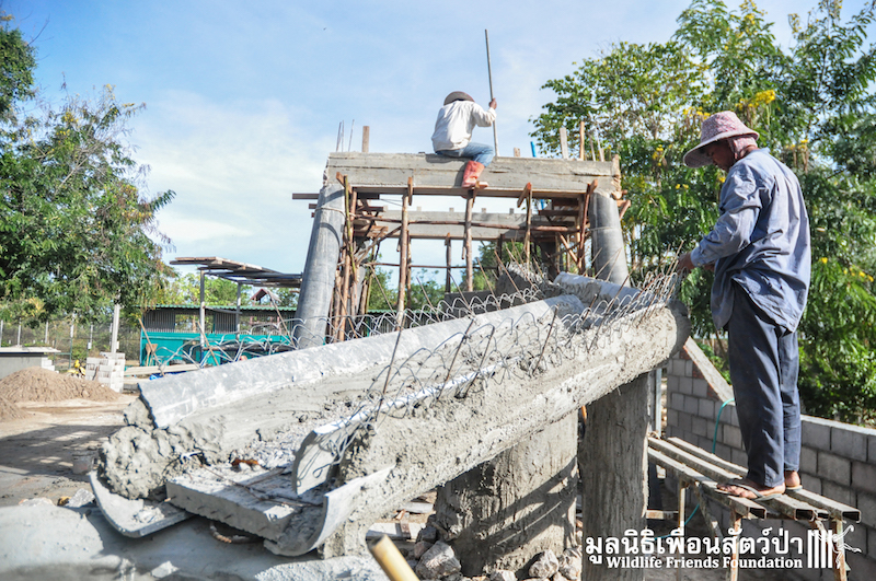 Otter new enclosure 170116 797