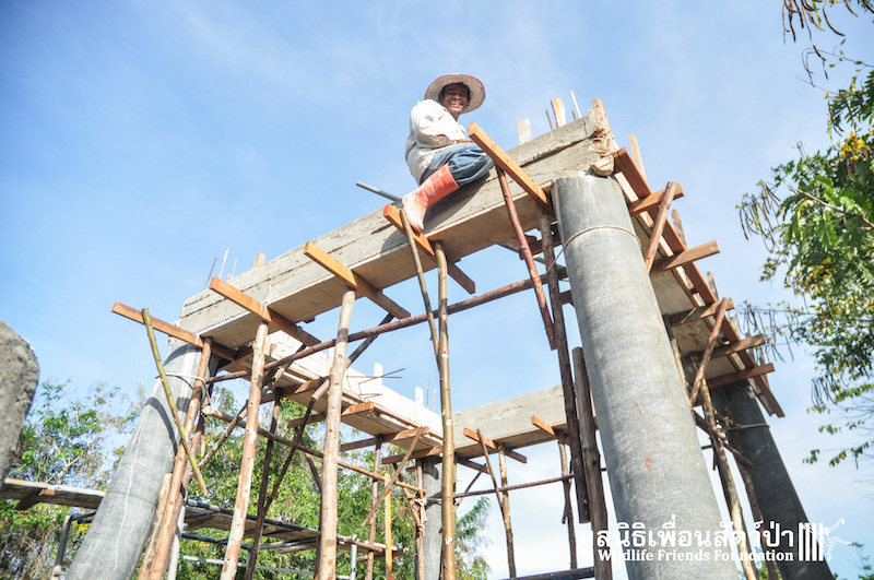 Otter new enclosure 170116 800