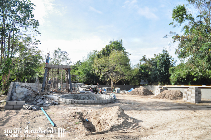 Otter new enclosure 170116 807