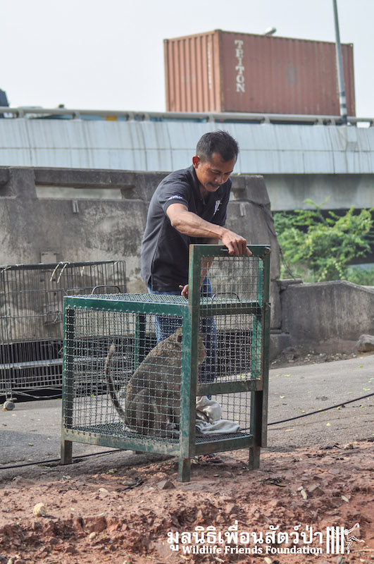 Release BigBrother_BangKhunThain 443