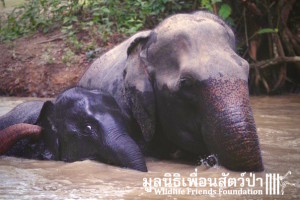 10400712_69032907656_2740_n