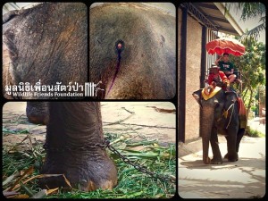 12829491_10153286334552657_7917480359666764822_o