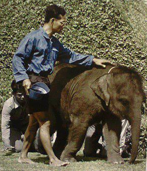 screenshot-2016-10-13-17-53-09