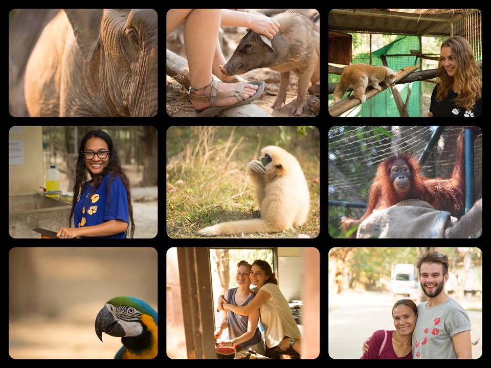 15241164_10153910700252657_3281760245541137154_n