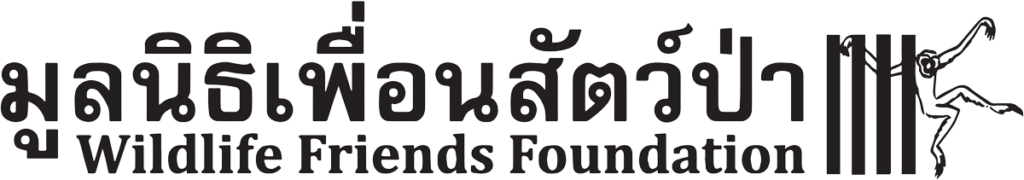 Wildlife Friends Foundation Thailand: A Non-Profit Dedicated to Wildlife Rescue and Rehabilitation
