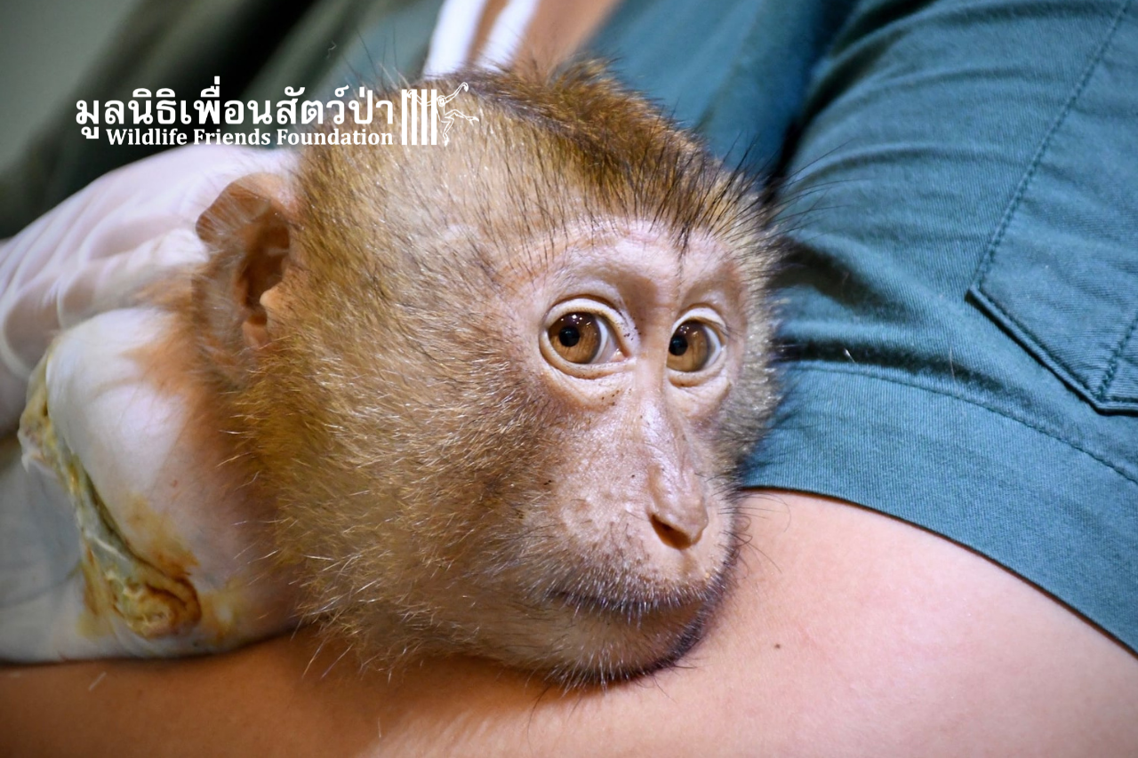 Boon Lot on arrival at WFFT