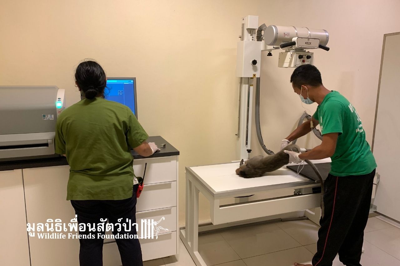 Mickey getting x-ray