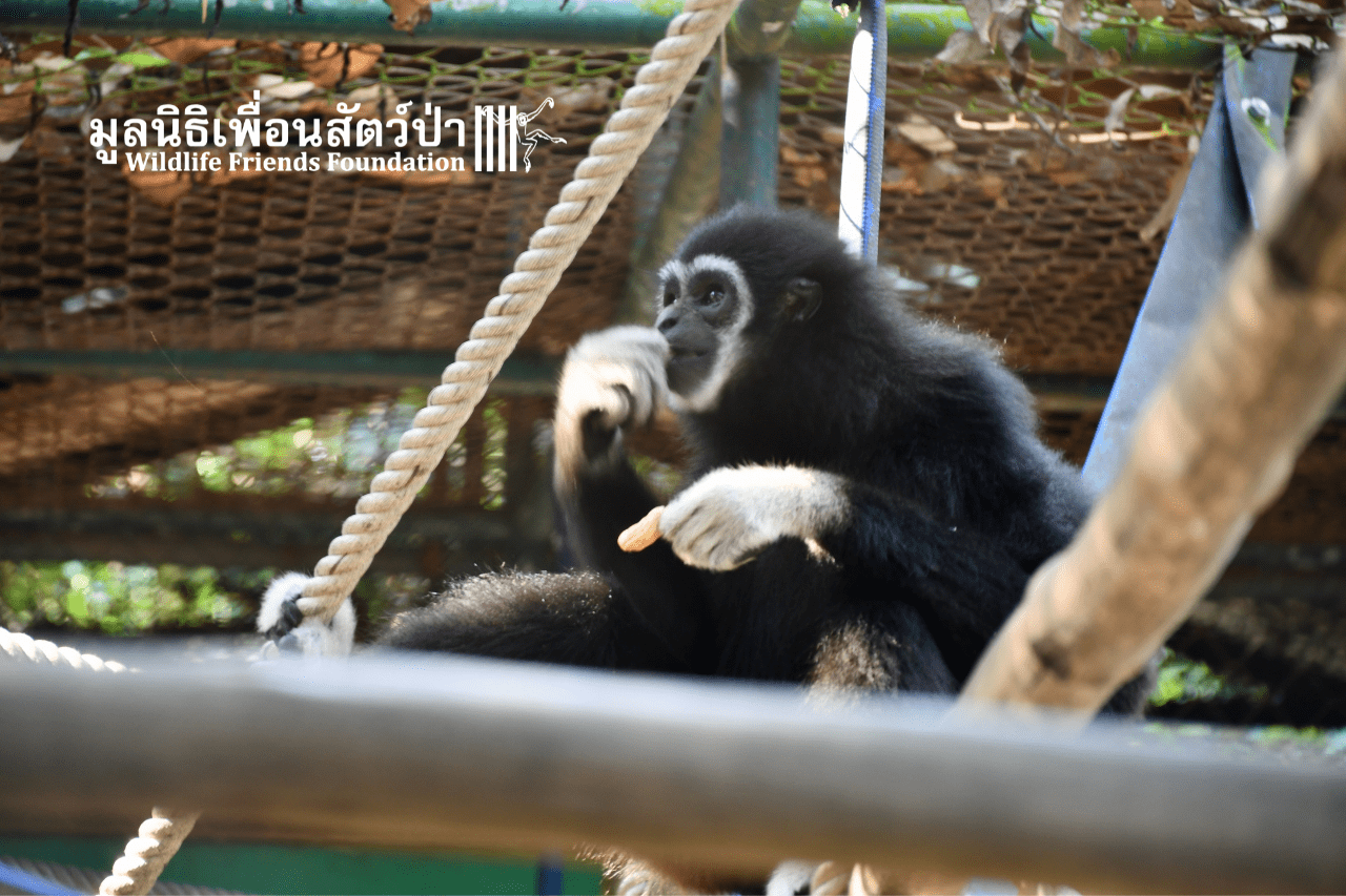 King shortly after arrival at WFFT