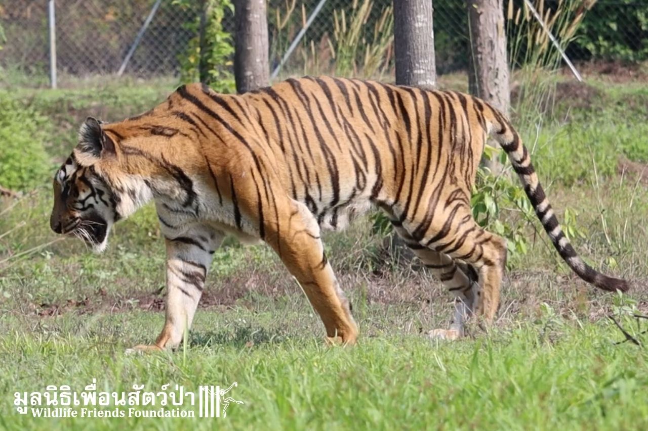 Pin March 2022 Highlights