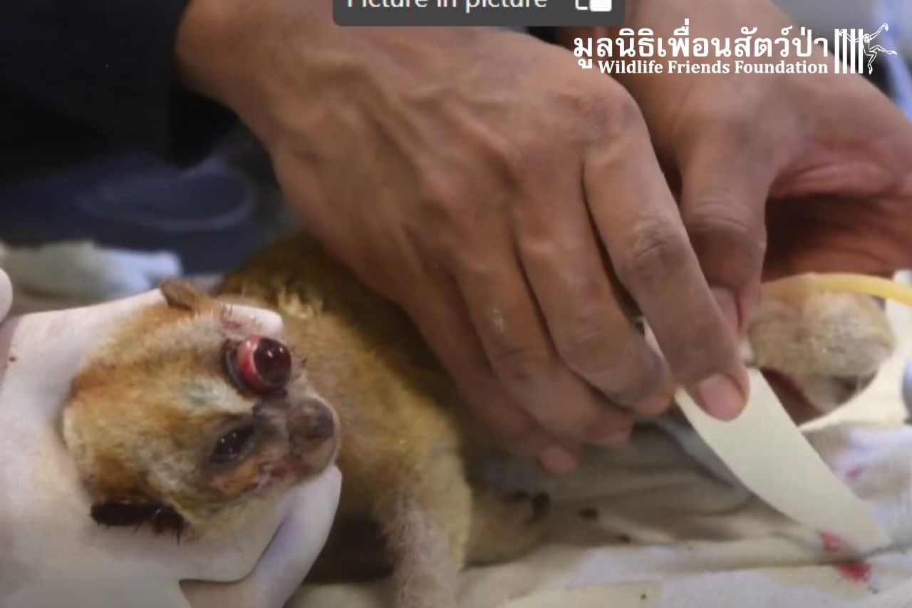 October 2022 Highlights