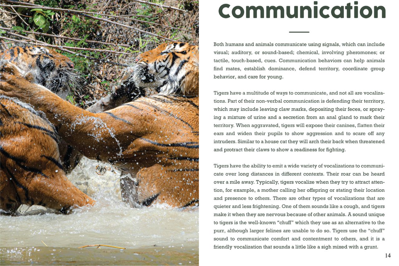 Tiger Communication