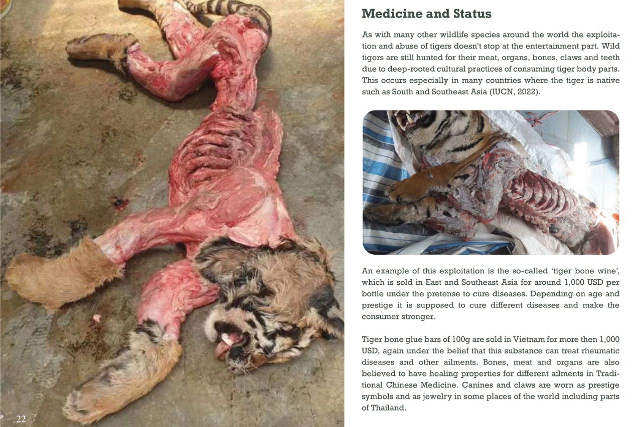 Tigers For Medicine