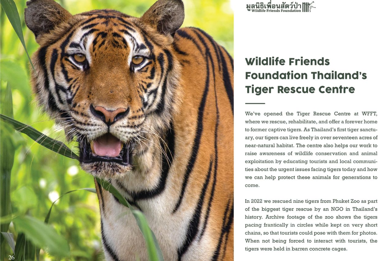 WFFT Tiger Rescue Centre